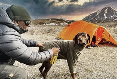Permethrin for Dogs