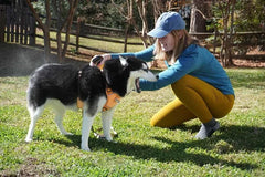 Permethrin for Dogs