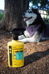 Permethrin for Dogs